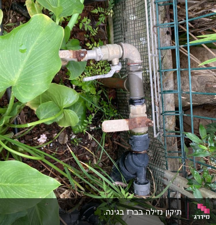 צינור מים עם ברזים ומחברים בגינה